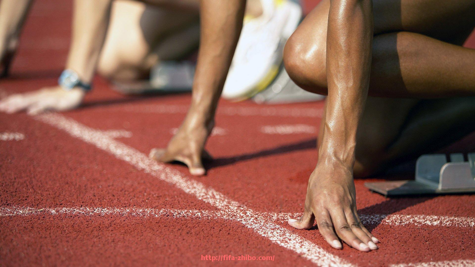 世俱杯直播-网上销售健身器材平台推荐及选购技巧